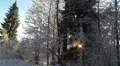 Walking through winter forest. HD Footage