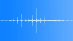 Walking by through woods loopSound Effect