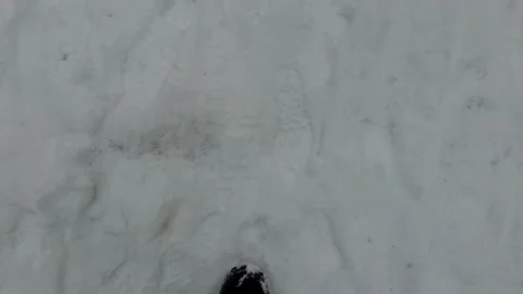 Walking through the woods in the winter time tilt up Stock Footage 144199371