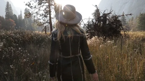 Walking through yosemite Stock Footage 111791672