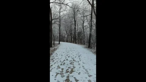 Walking throught a winter wonderland Stock Footage 294260412