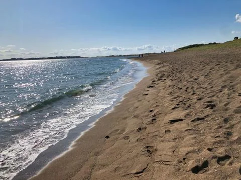 Walking throw the beach Stock Photos