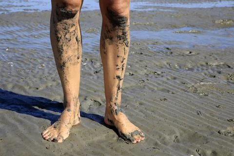 Walking on tidal mudflats Stock Photos