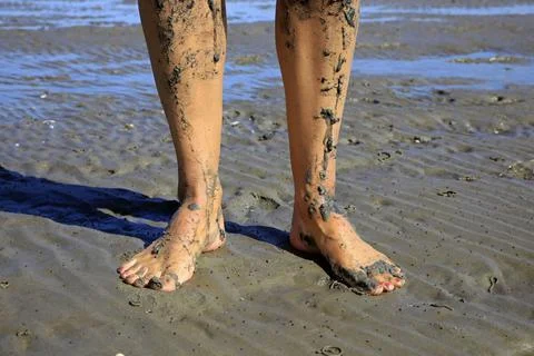 Walking on tidal mudflats Stock Photos