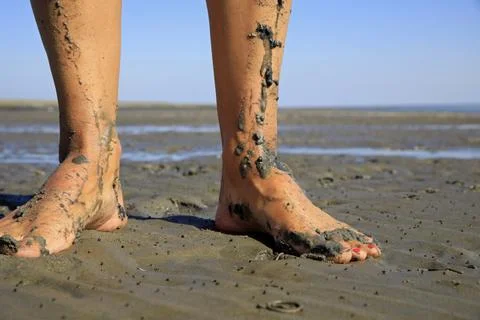Walking on tidal mudflats Stock Photos