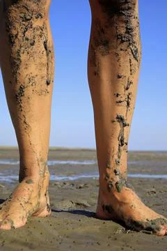 Walking on tidal mudflats Stock Photos