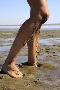 Walking on tidal mudflats Stock Photos