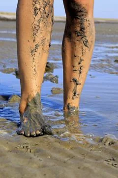 Walking on tidal mudflats Stock Photos