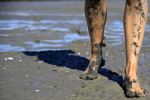 Walking on tidal mudflats Stock Photos