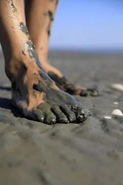 Walking on tidal mudflats Stock Photos