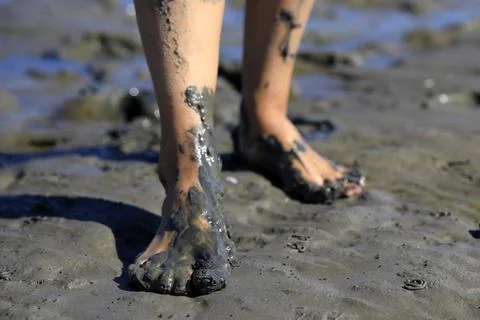 Walking on tidal mudflats Stock Photos