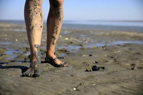 Walking on tidal mudflats Stock Photos