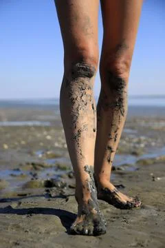 Walking on tidal mudflats Stock Photos