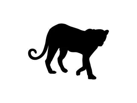 Walking Tiger, Leopard, Cheetah, Black Panther, Jaguar, (Big Cat Family) Stock Illustration
