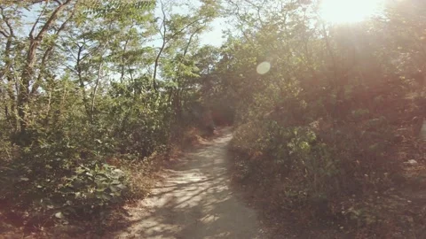 Walking Tight Mountain Forest Path Between Bushes Hiking Stock-Footage 134295297