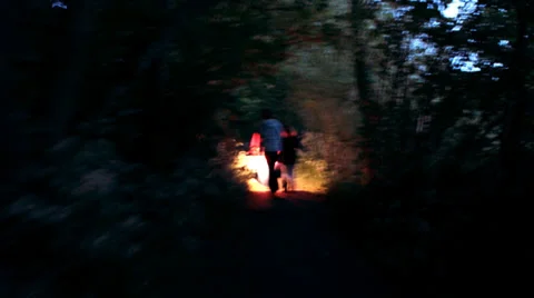 Walking torch lit through forest Stock Footage 37763783
