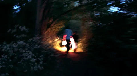 Walking torch lit through forest Stock Footage 37772027