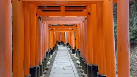 Walking by the Torii path lined with thousands of torii in the Fushimi Inari Stock Footage 124330587