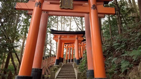 Walking by the Torii path lined with thousands of torii in the Fushimi Inari Video stock 124366200