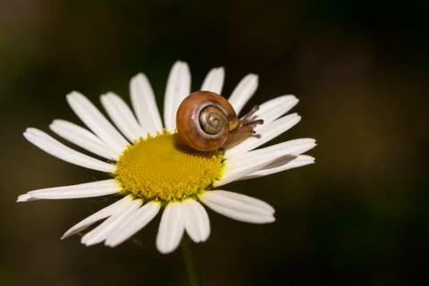 Walking tour Stock Photos