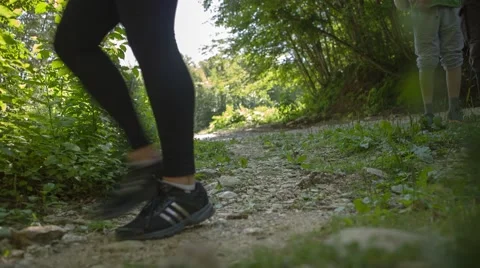 Walking tourists in forest 動画素材 58470766