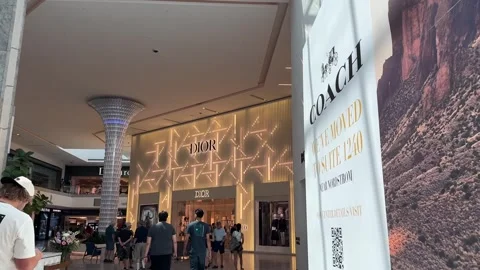 Walking Toward Dior Store Stock Footage 325389298
