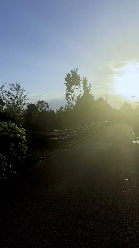 Walking Toward a Golden Sunset on a Quiet Country Road, Cinematic POV Stock Footage 340238417