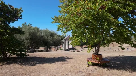 Walking towards ancient temple in between trees Stock Footage 347273604