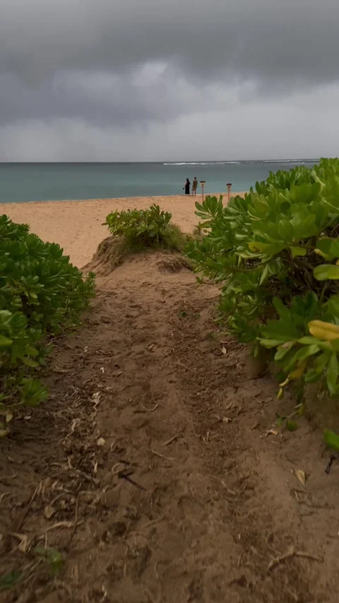 Walking Towards Beach and Waves on Maninihola Bay, Kauai, Hawaii (Vertical) Stock Footage 250398650