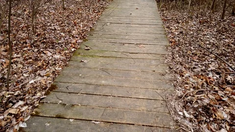 Walking Towards Fallen Bridge Stock Footage 102867683