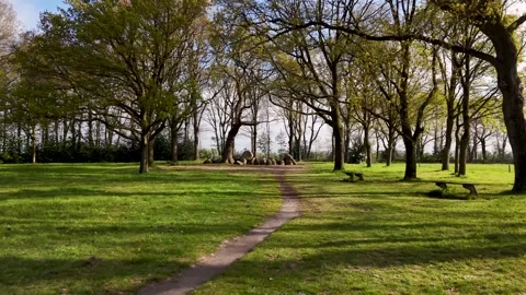 Walking towards megalithic hunebed tomb in drenthe, netherlands Stock Footage 335064255