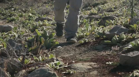 Walking towards on mountain trail HD9042 Stock Footage 12549201