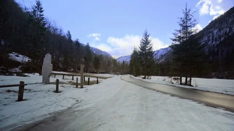 Walking towards a road in the middle of a forest Video stock 85065989