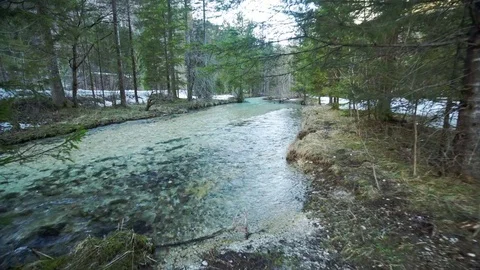 Walking towards a small beautiful stream Stock Footage 85065949