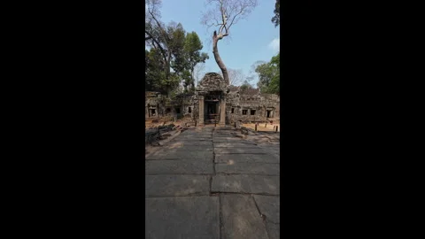 Walking towards Ta Prohm Temple Video stock 276427670
