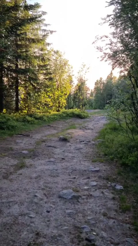 Walking towards a view Stock Footage 244858808