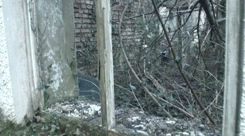 Walking towards window ruin Stock Footage 46520016