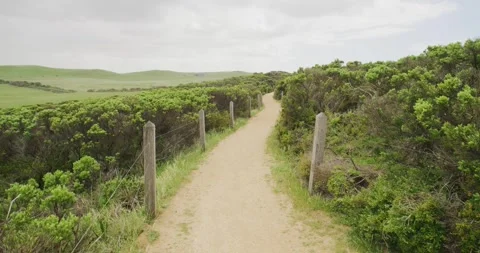 Walking Track In Australia Video stock 330301272