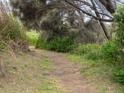 Walking track - Marengo Stock Photos