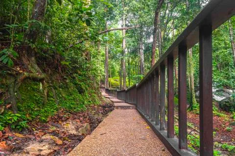 Walking track Foto stock