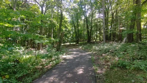 Walking trail 2 Stock Footage 315317307