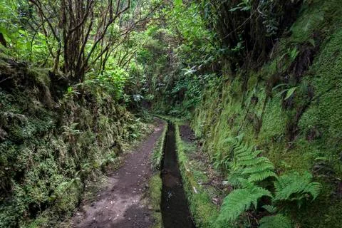 Walking trail along a Levada Calha de Agua Cabeco dos Trinta Island of Faial Stock Photos