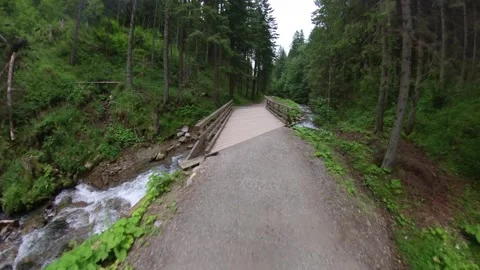 Walking Trail Along Mountain Forest Creek Hyper Lapse Video stock 140971961
