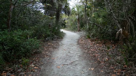 Walking trail at the Barefoot Beach State Preserve Stock Footage 73446616