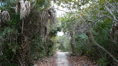 Walking trail at the Barefoot Beach State Preserve 動画素材 73446672