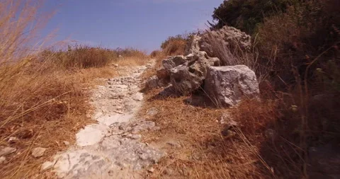 Walking on a trail close up Stock Footage 163804515