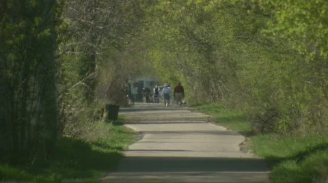 Walking trail cuts through the treeline (High Definition) Stock Footage 360047