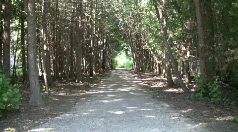 Walking trail cuts through the treeline (High Definition) Stock Footage