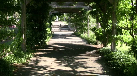 Walking trail cuts through the treeline (High Definition) Stock-Footage 360051