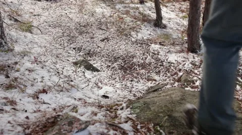 Walking on trail with a dusting of snow 動画素材 46264517